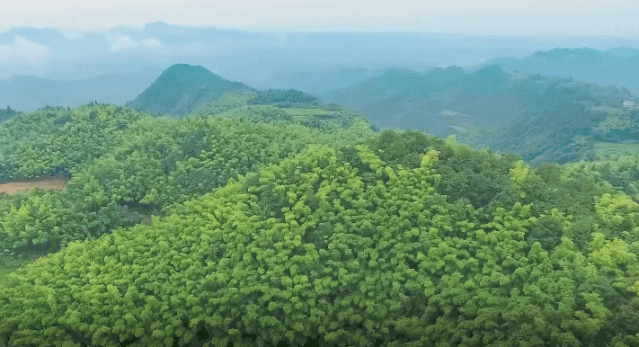 /uploads/image/2020/09/08/c140738a2d5072af60fdd41ea85ec18c.gif 微信圖片_20200908135123.gif