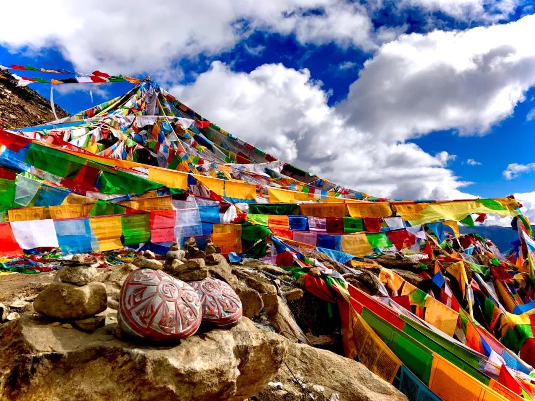 /uploads/image/2020/11/02/784bef415e853d9252c9b0224a4a005e.jpg 12.jpg